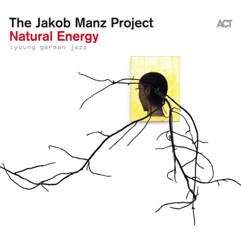 Natural Energy - The Jakob Manz Project